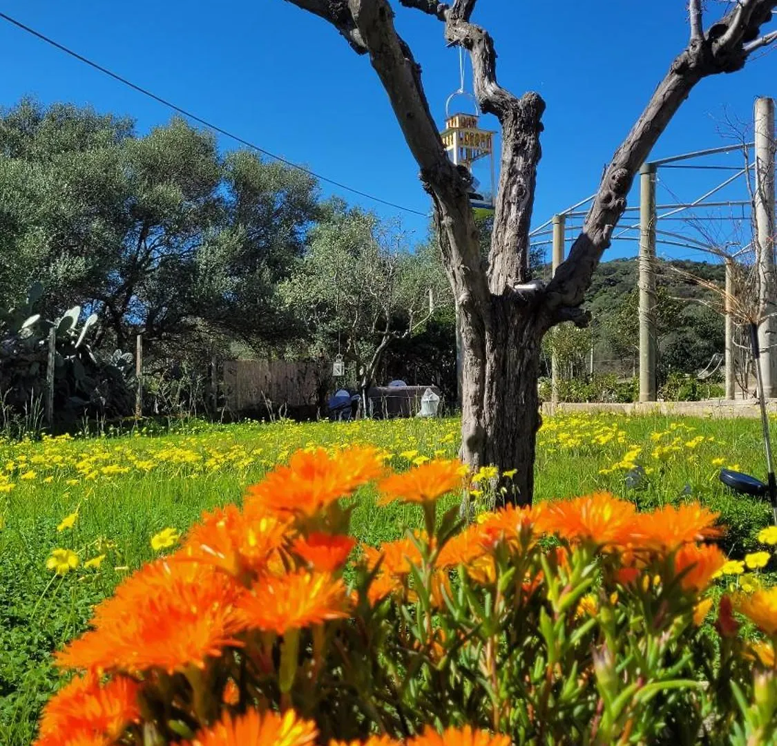 Apartamento Pitty House Sardegna Siniscola